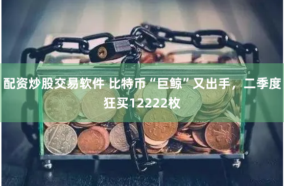 配资炒股交易软件 比特币“巨鲸”又出手，二季度狂买12222枚