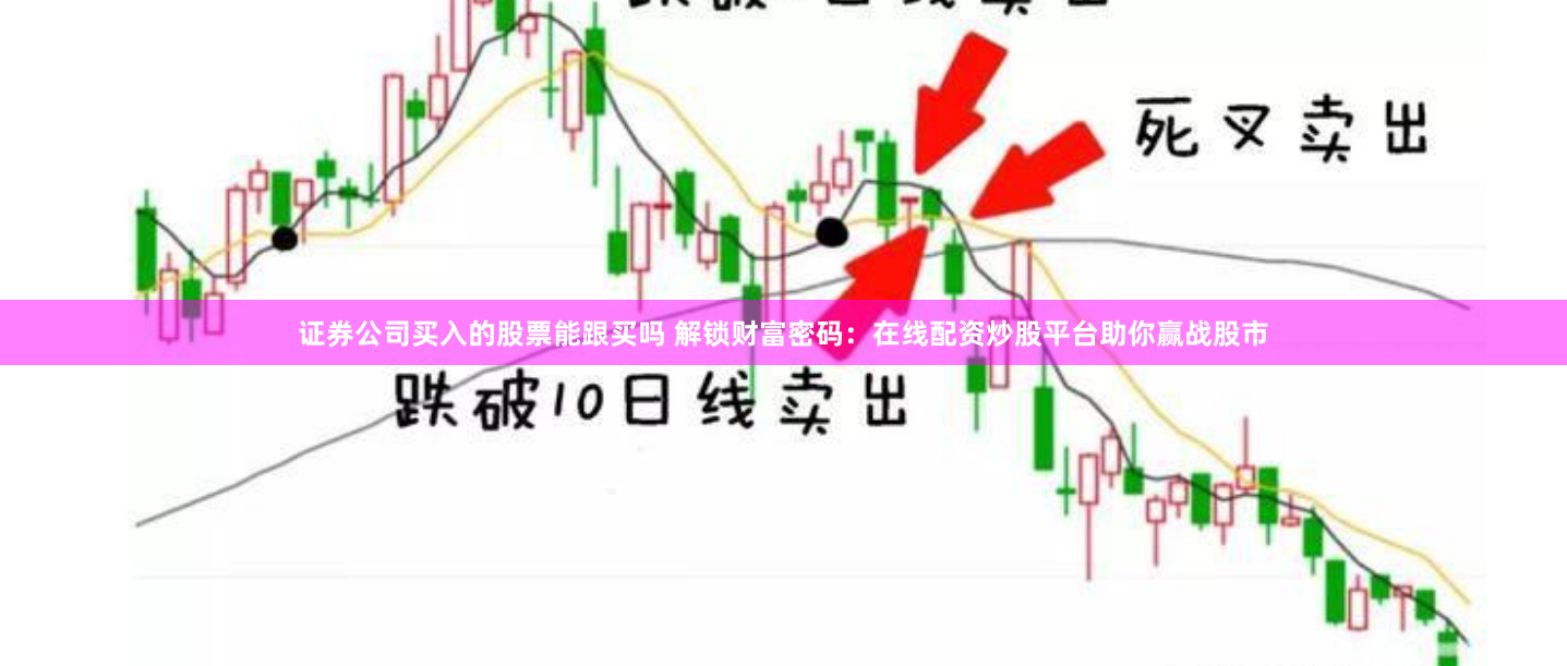 证券公司买入的股票能跟买吗 解锁财富密码：在线配资炒股平台助你赢战股市