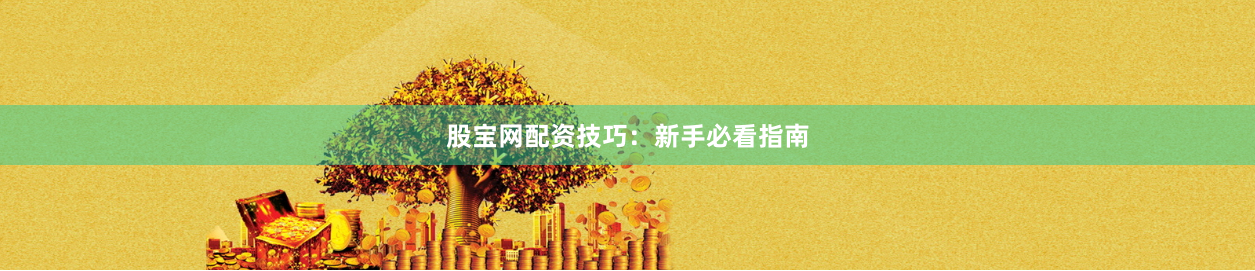 股宝网配资技巧：新手必看指南