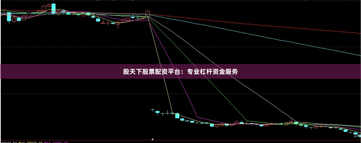 股天下股票配资平台：专业杠杆资金服务